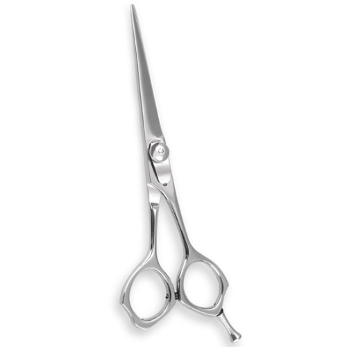 Professional Hair Cutting Scissors